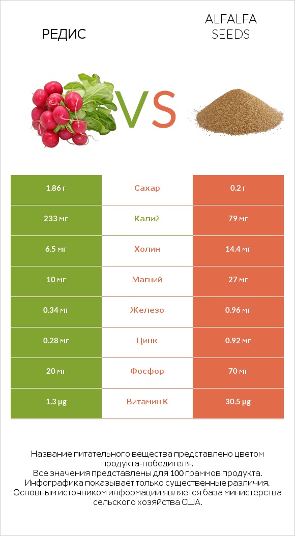 Редис vs Alfalfa seeds infographic