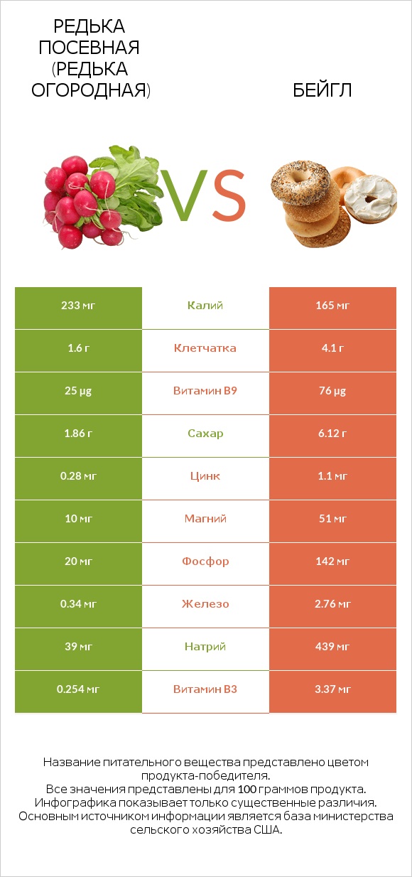 Редька посевная (Редька огородная) vs Бейгл infographic