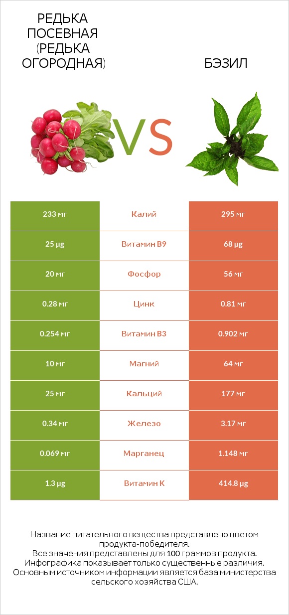 Редька посевная (Редька огородная) vs Бэзил infographic