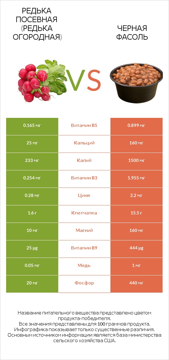 Редька посевная (Редька огородная) vs Черная фасоль infographic