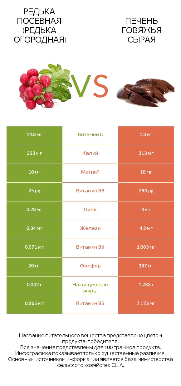 Редька посевная (Редька огородная) vs Печень говяжья сырая infographic