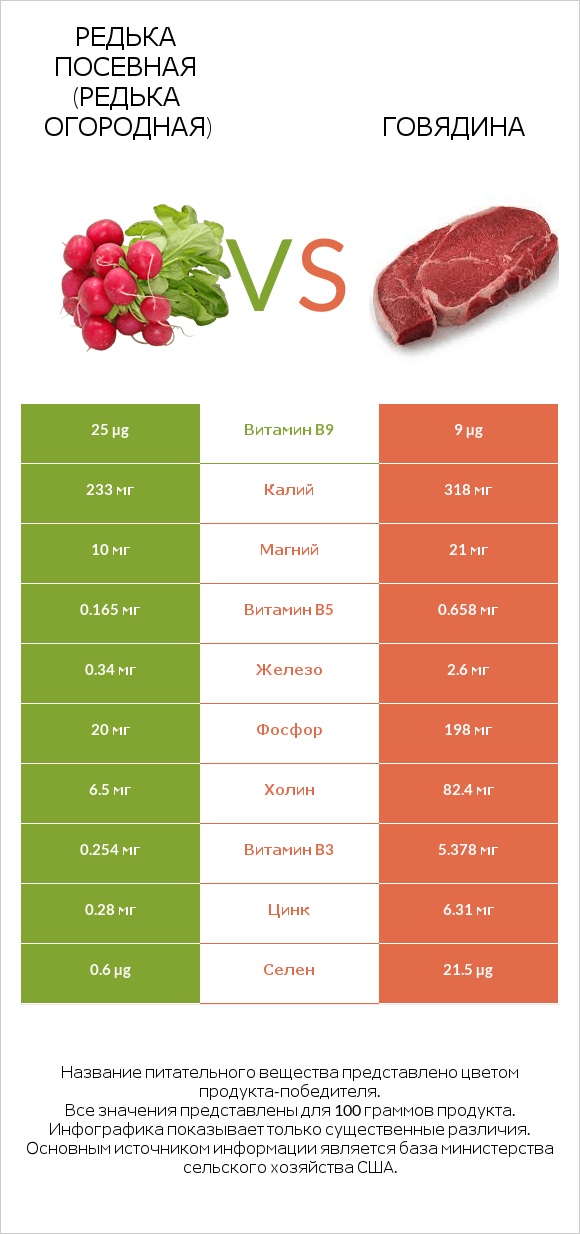 Редька посевная (Редька огородная) vs Говядина infographic