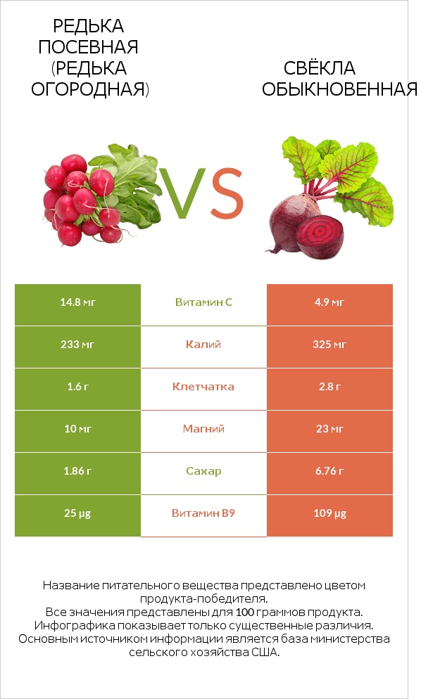 Редька посевная (Редька огородная) vs Свёкла обыкновенная infographic