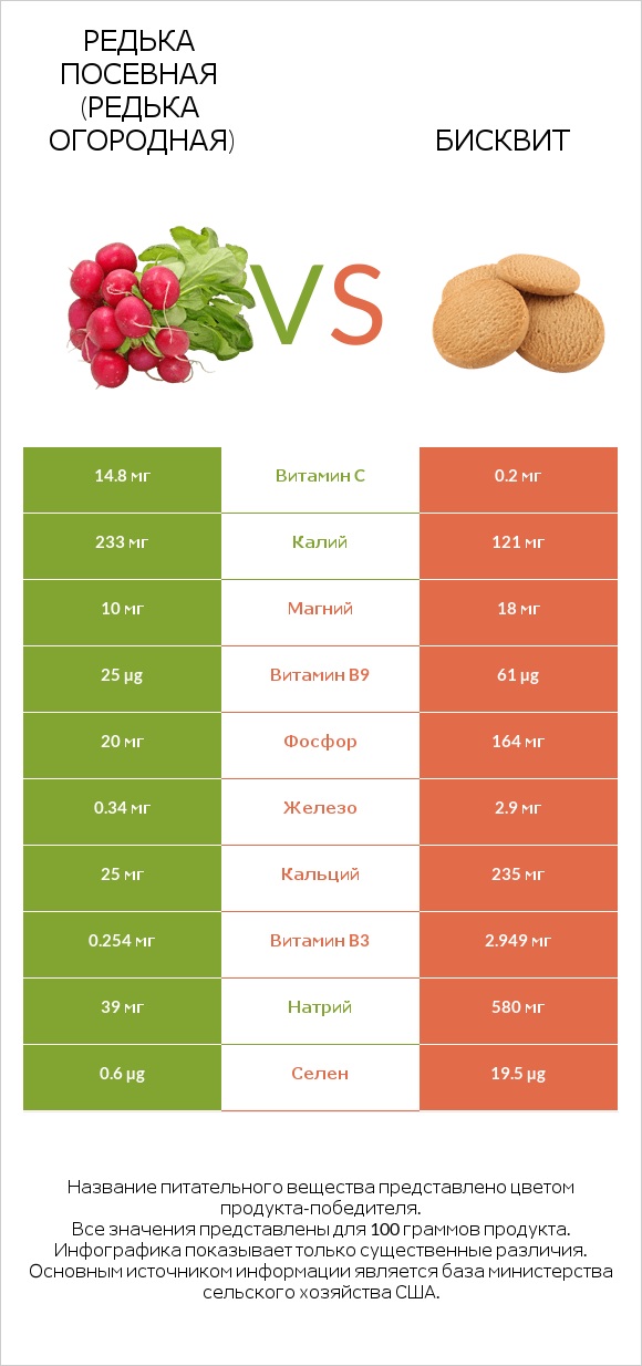 Редька посевная (Редька огородная) vs Бисквит infographic