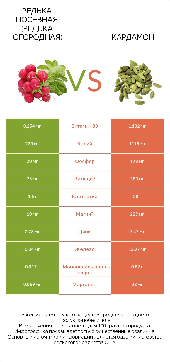 Редька посевная (Редька огородная) vs Кардамон infographic