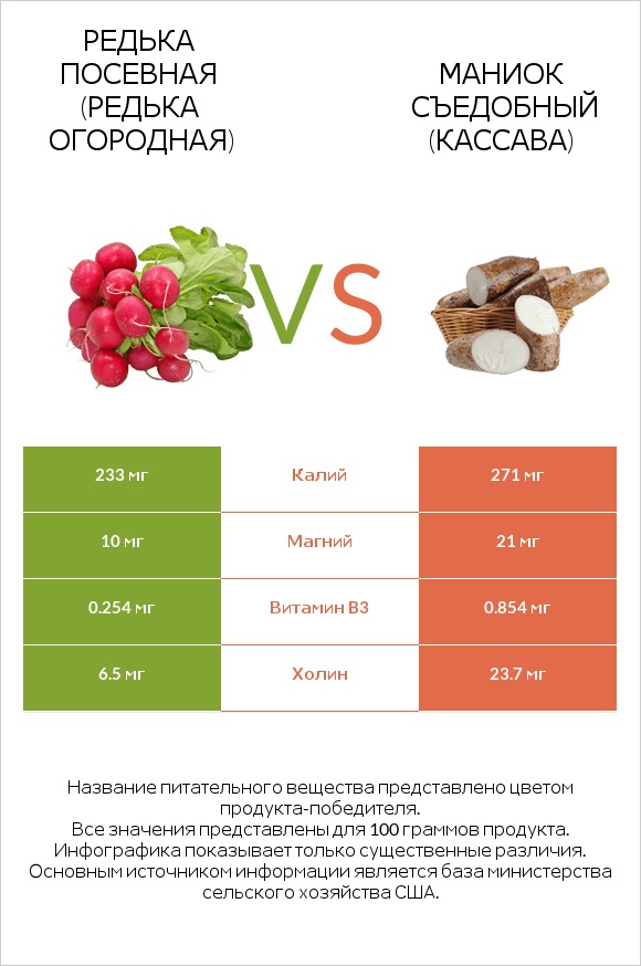 Редька посевная (Редька огородная) vs Маниок съедобный (кассава) infographic