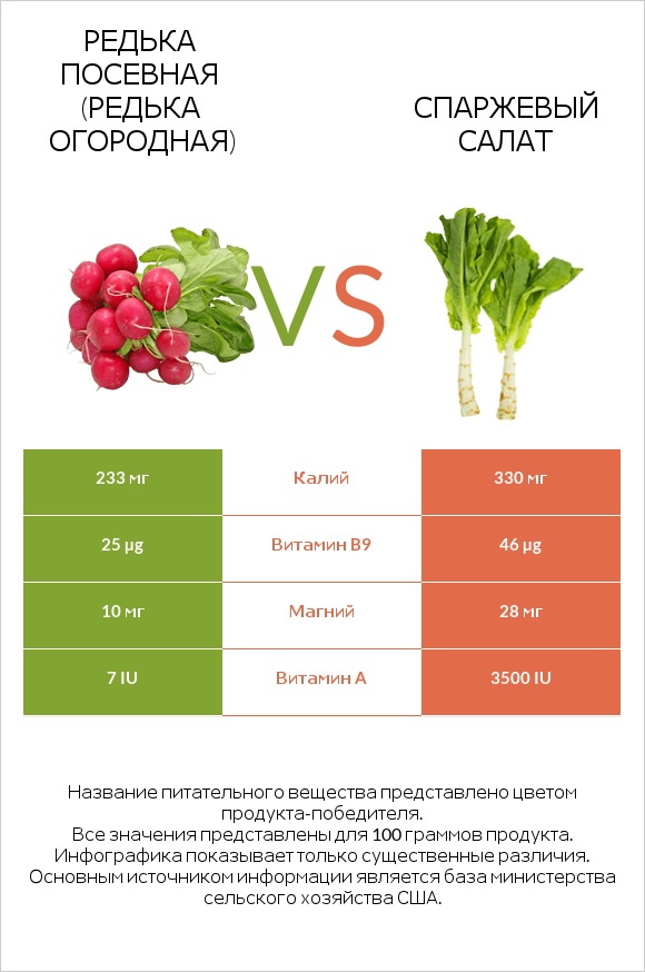 Редис vs Celtuce infographic