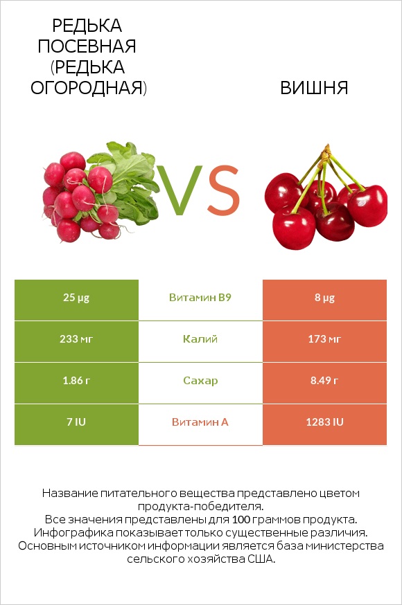 Редька посевная (Редька огородная) vs Вишня infographic