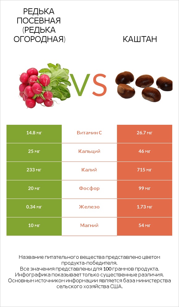 Редька посевная (Редька огородная) vs Каштан infographic