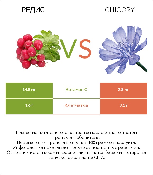 Редис vs Chicory infographic