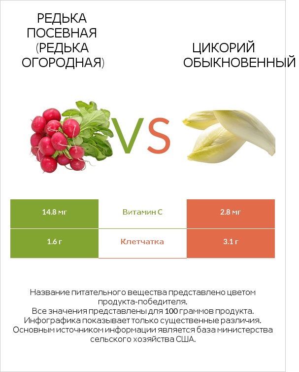 Редька посевная (Редька огородная) vs Цикорий обыкновенный infographic