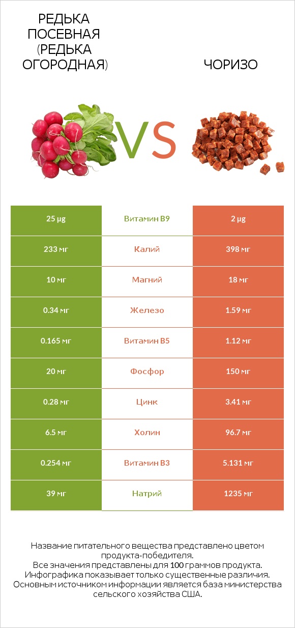 Редька посевная (Редька огородная) vs Чоризо infographic