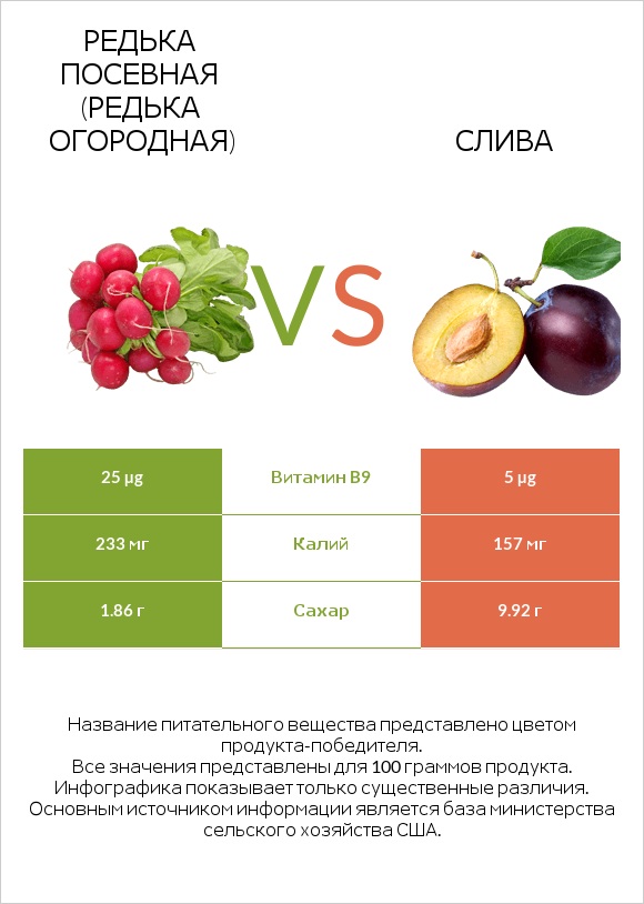 Редька посевная (Редька огородная) vs Слива infographic