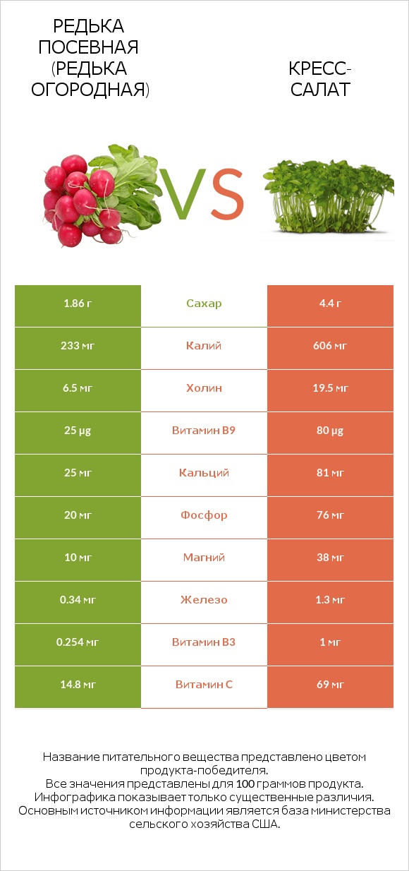 Редька посевная (Редька огородная) vs Кресс-салат infographic