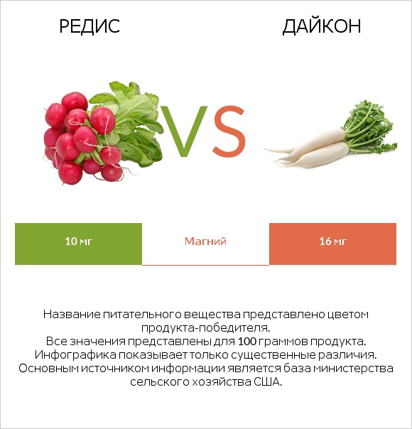 Редис vs Дайкон infographic
