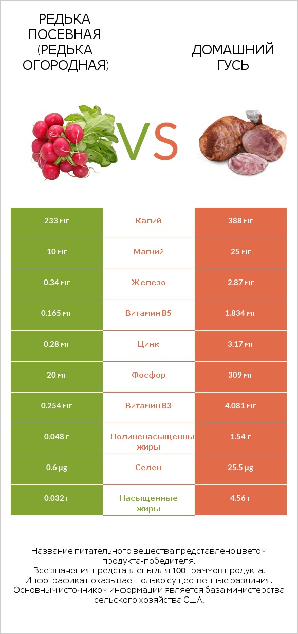 Редька посевная (Редька огородная) vs Домашний гусь infographic