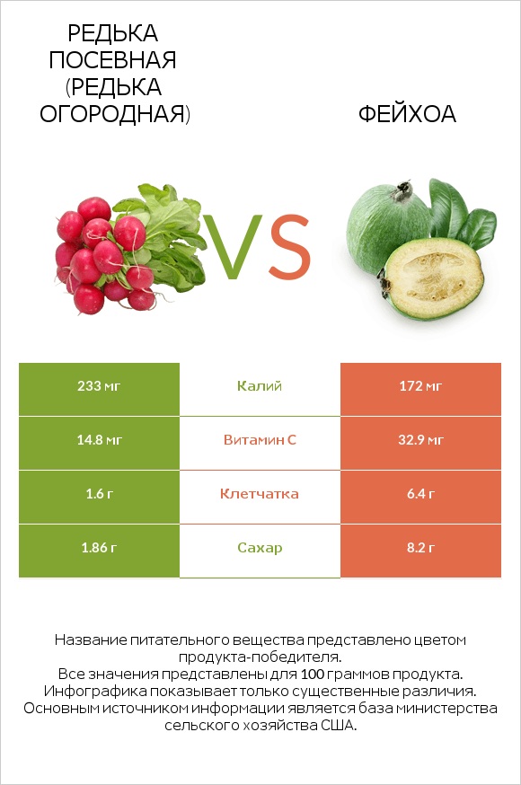 Редька посевная (Редька огородная) vs Фейхоа infographic