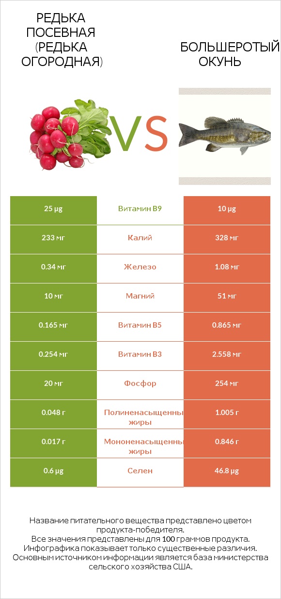 Редька посевная (Редька огородная) vs Большеротый окунь infographic