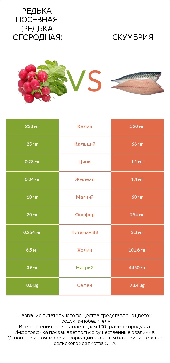 Редька посевная (Редька огородная) vs Скумбрия infographic