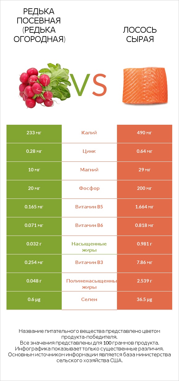 Редька посевная (Редька огородная) vs Лосось сырая infographic