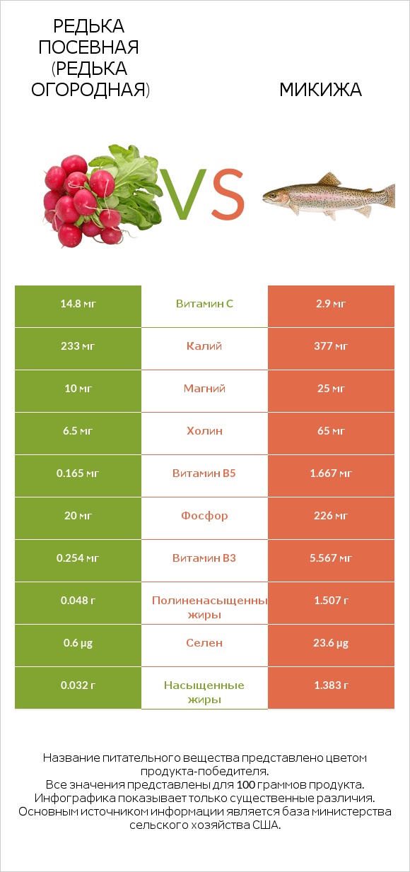 Редька посевная (Редька огородная) vs Микижа infographic