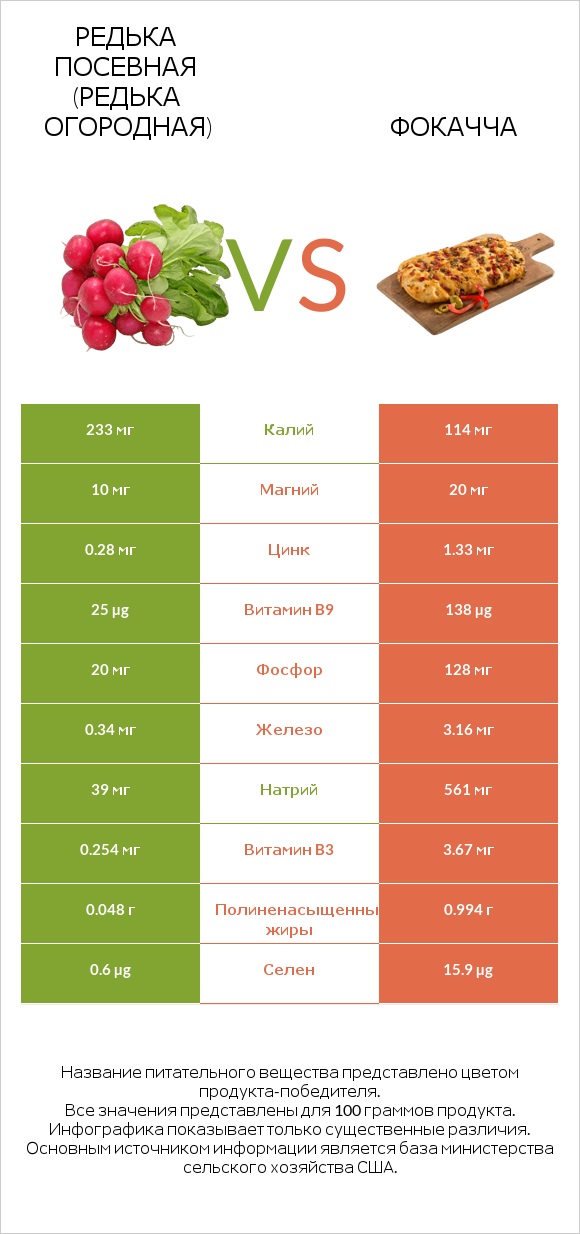 Редька посевная (Редька огородная) vs Фокачча infographic