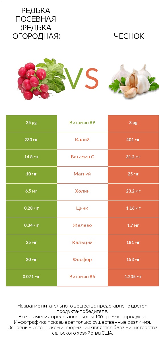 Редька посевная (Редька огородная) vs Чеснок infographic