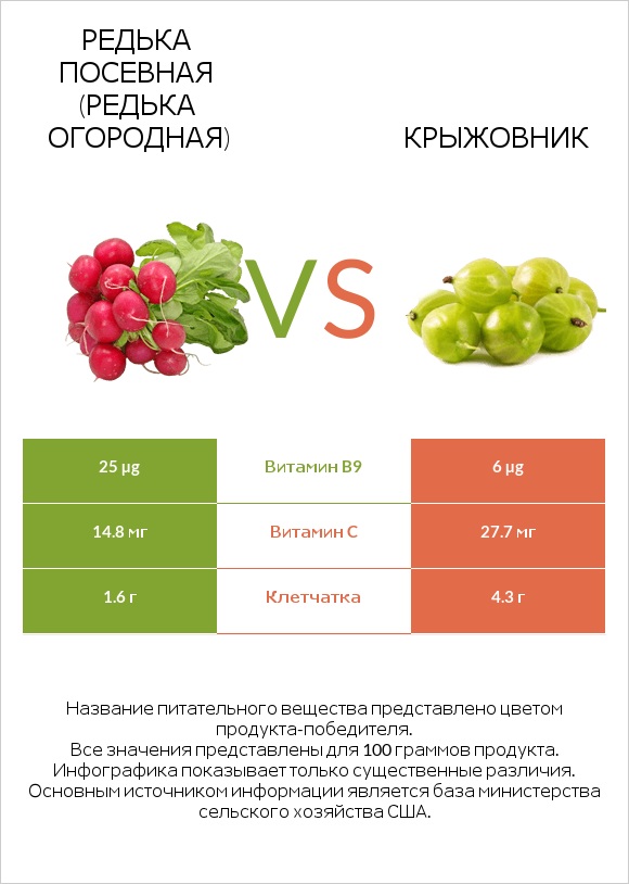 Редька посевная (Редька огородная) vs Крыжовник infographic