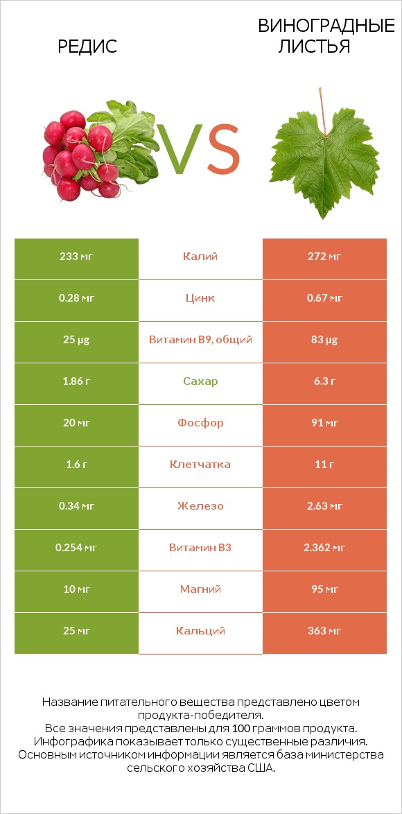 Редис vs Виноградные листья infographic
