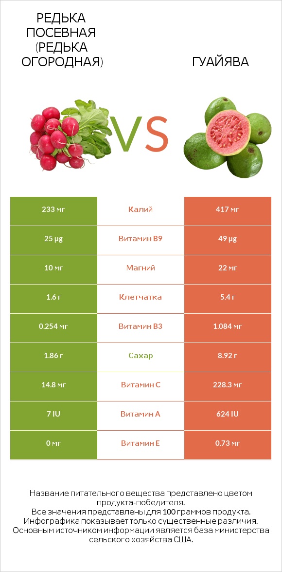 Редька посевная (Редька огородная) vs Гуайява infographic