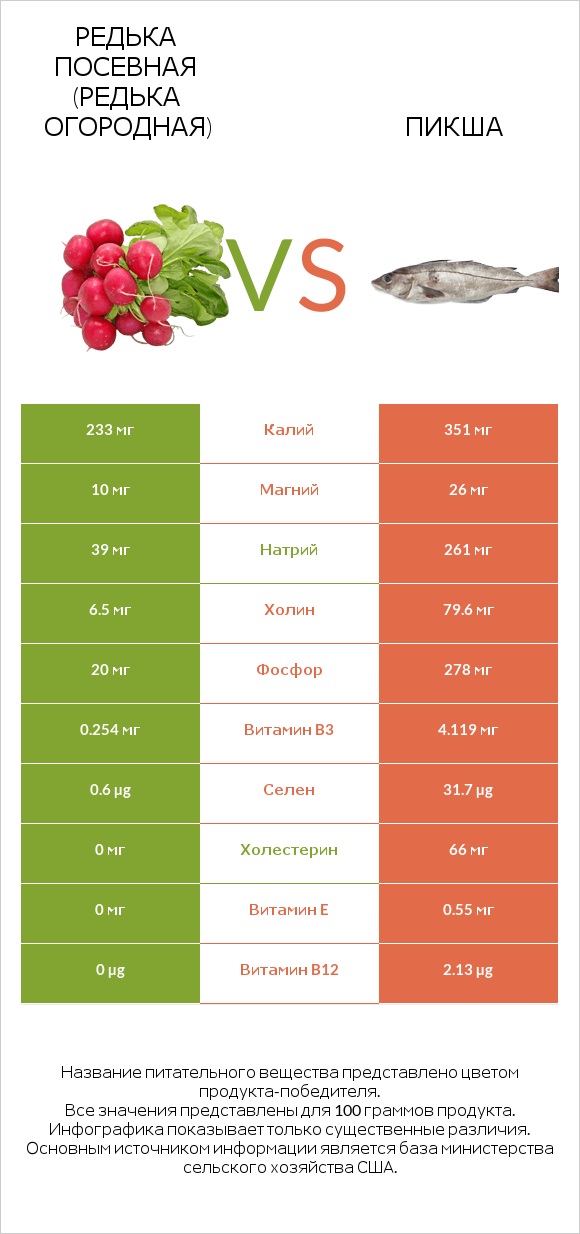 Редька посевная (Редька огородная) vs Пикша infographic