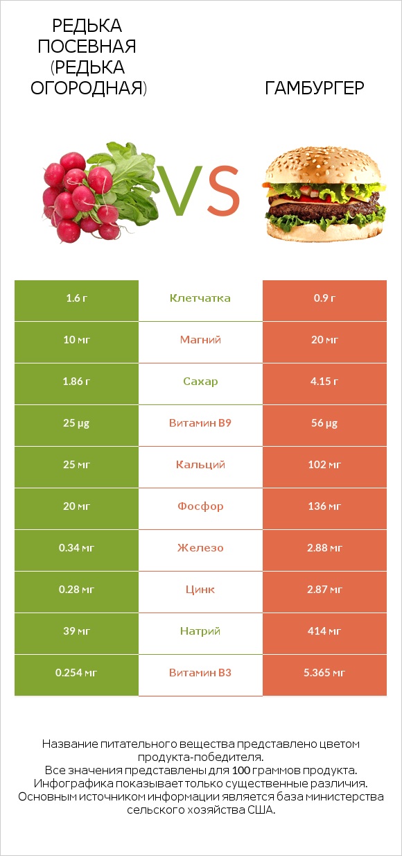 Редька посевная (Редька огородная) vs Гамбургер infographic