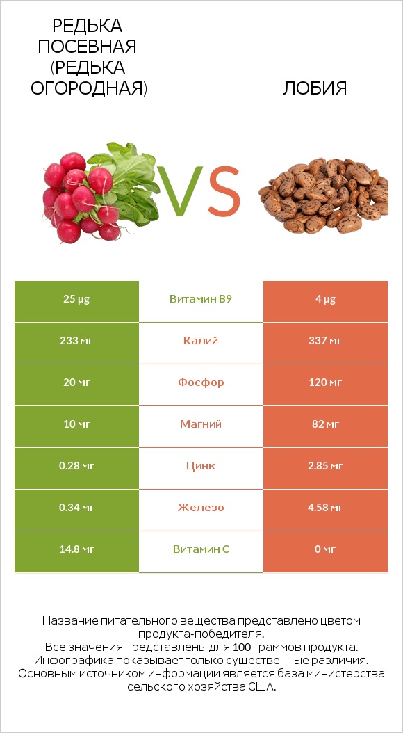 Редька посевная (Редька огородная) vs Лобия infographic