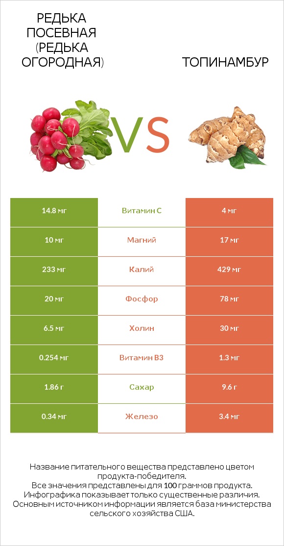 Редька посевная (Редька огородная) vs Топинамбур infographic