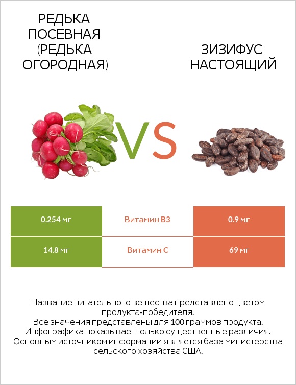 Редька посевная (Редька огородная) vs Зизифус настоящий infographic
