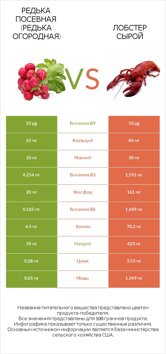 Редька посевная (Редька огородная) vs Лобстер сырой infographic