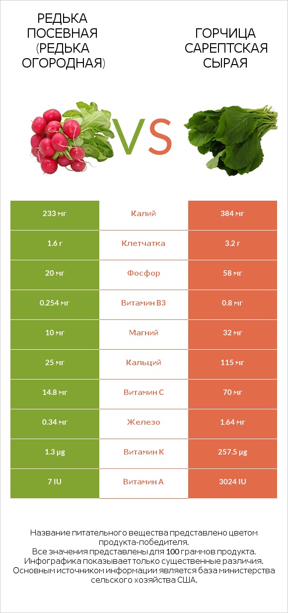 Редька посевная (Редька огородная) vs Горчица сарептская сырая infographic