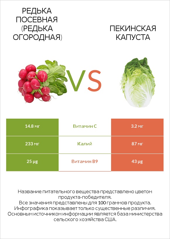 Редис vs Пекинская капуста infographic