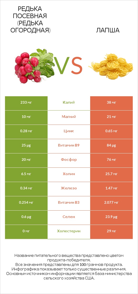 Редька посевная (Редька огородная) vs Лапша infographic