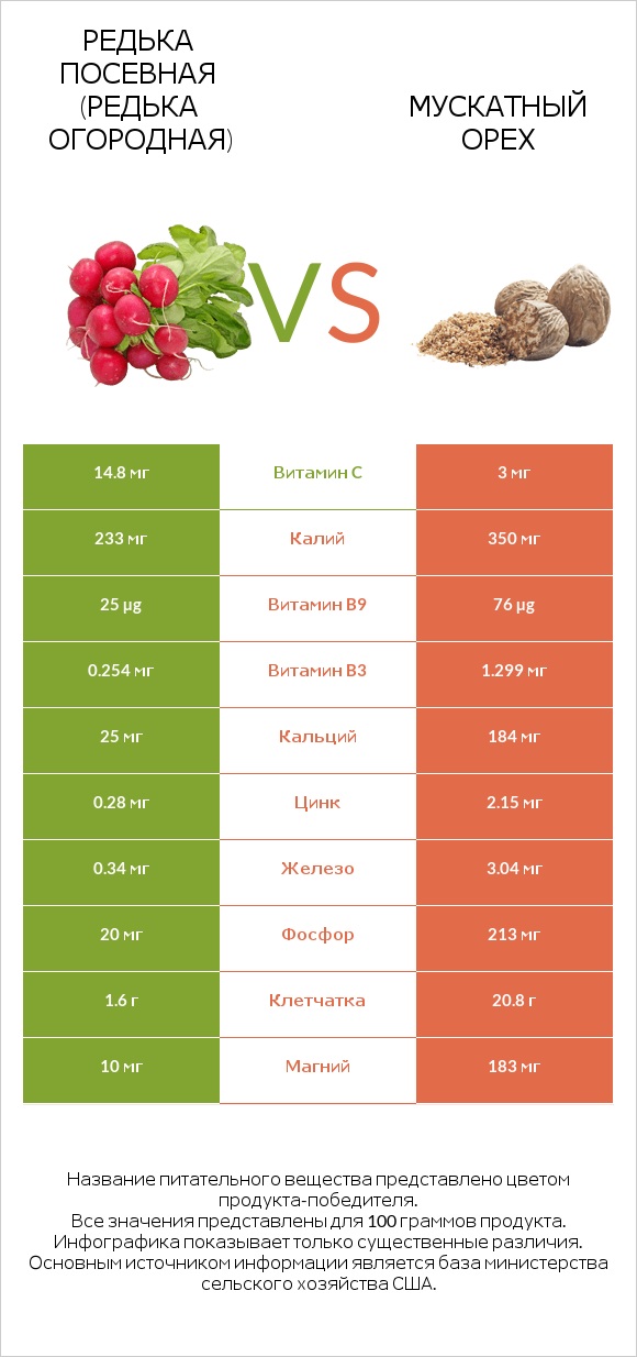 Редька посевная (Редька огородная) vs Мускатный орех infographic