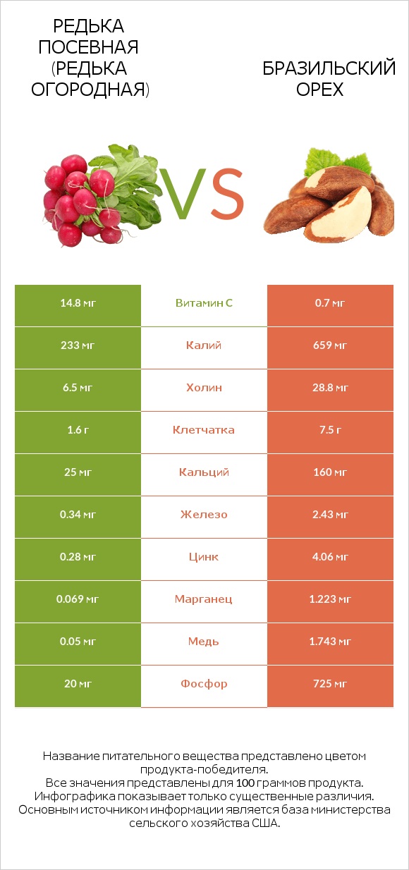 Редька посевная (Редька огородная) vs Бразильский орех infographic