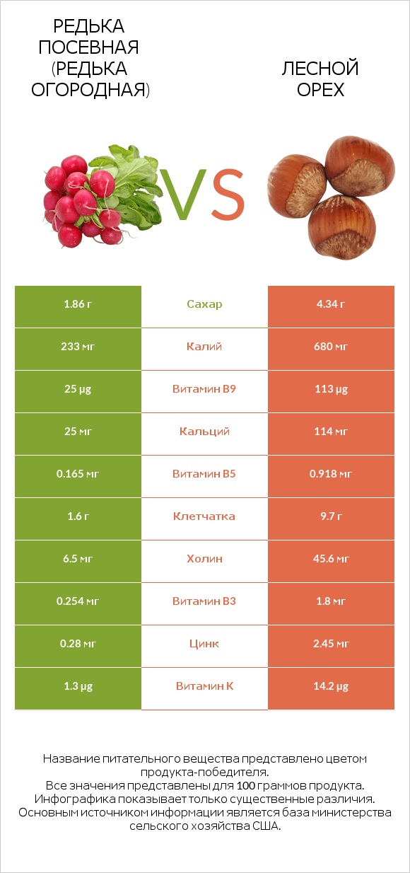 Редька посевная (Редька огородная) vs Лесной орех infographic
