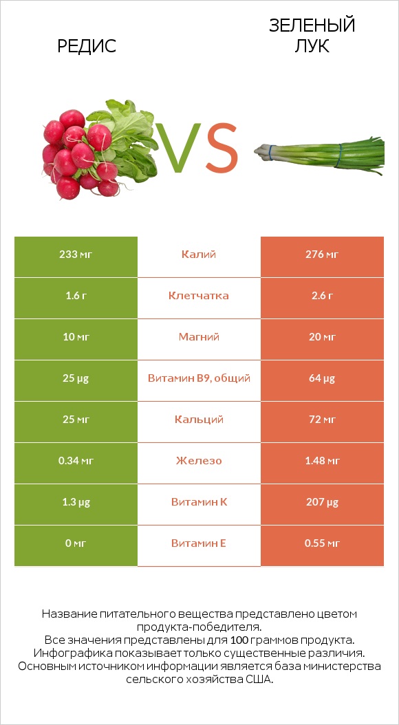 Редис vs Зеленый лук infographic