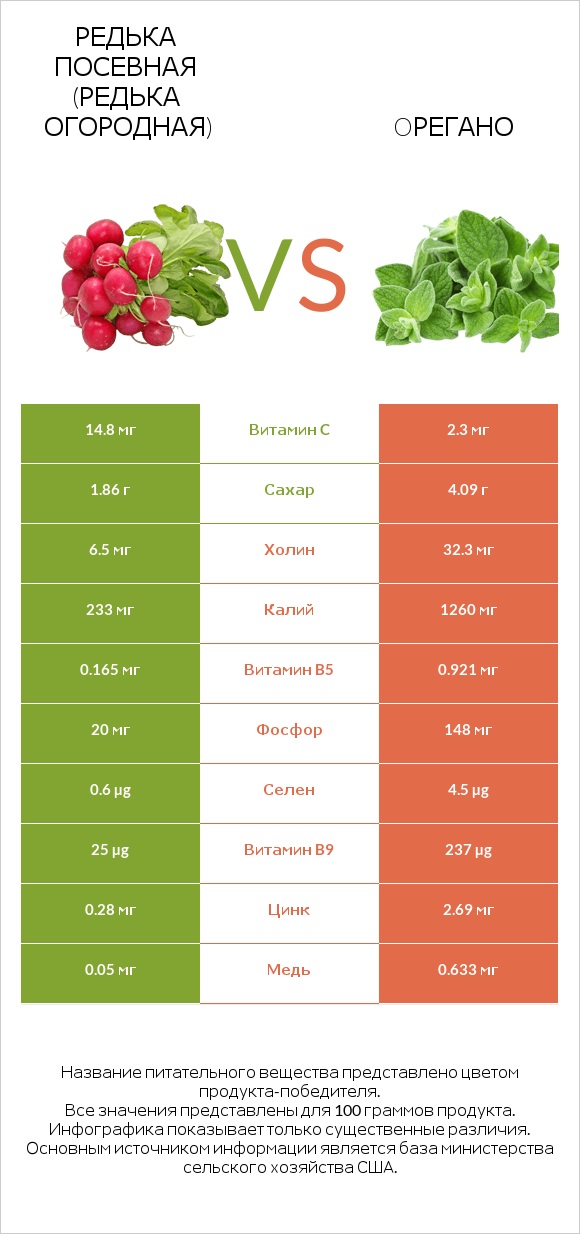 Редька посевная (Редька огородная) vs Oрегано infographic