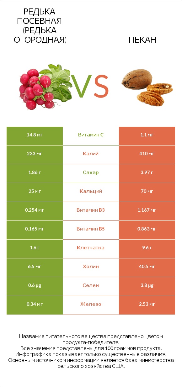 Редька посевная (Редька огородная) vs Пекан infographic