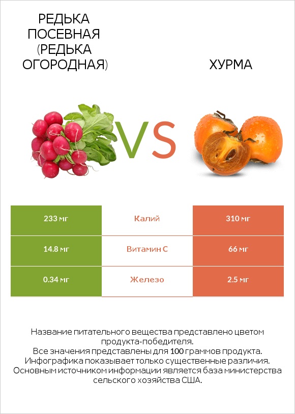 Редька посевная (Редька огородная) vs Хурма infographic