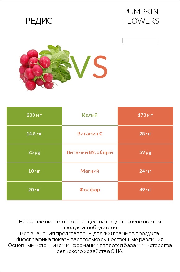 Редис vs Pumpkin flowers infographic