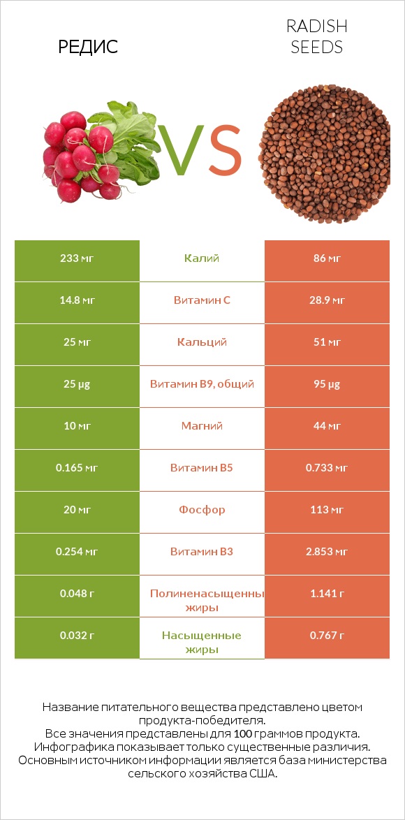 Редис vs Radish seeds infographic