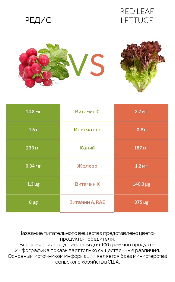 Редис vs Red leaf lettuce infographic
