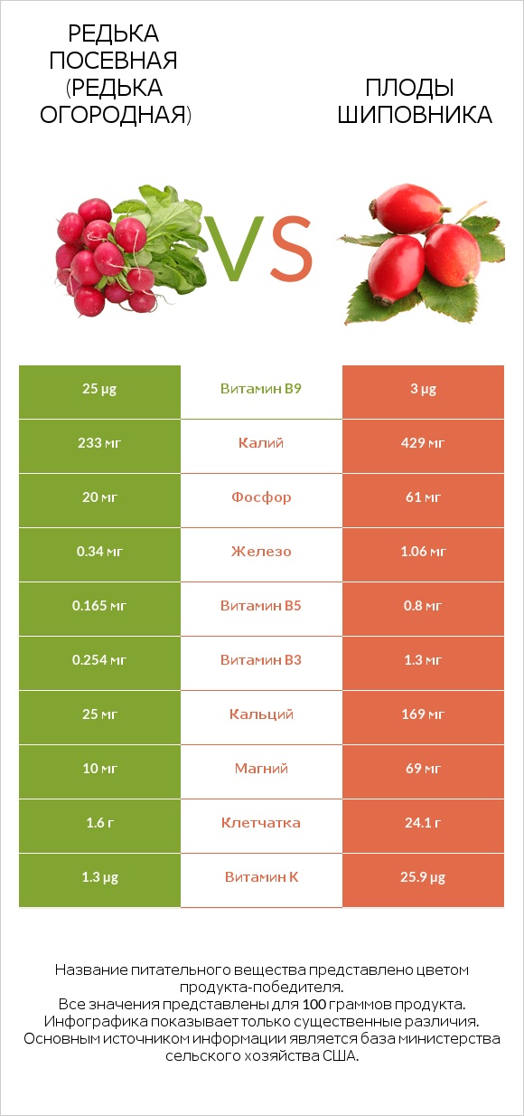 Редька посевная (Редька огородная) vs Плоды шиповника infographic